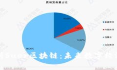 深入解析Suer区块链：未来数字经济的