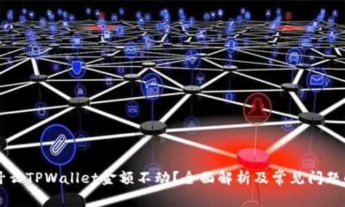 为什么TPWallet金额不动?全面解析及常见问题解答