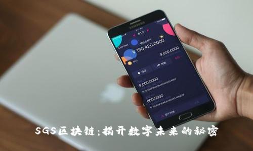 SGS区块链:揭开数字未来的秘密
