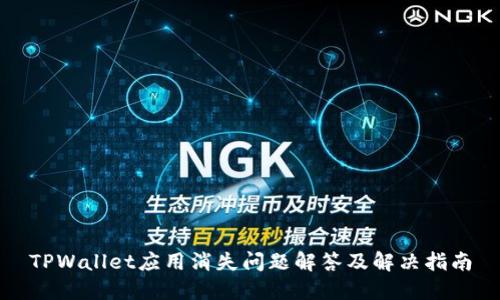 TPWallet应用消失问题解答及解决指南