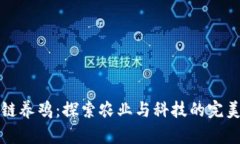 区块链养鸡：探索农业与科技的完美结