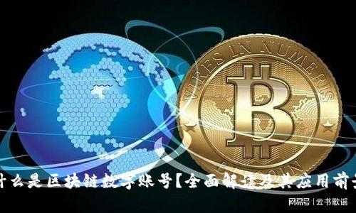 什么是区块链数字账号?全面解读及其应用前景