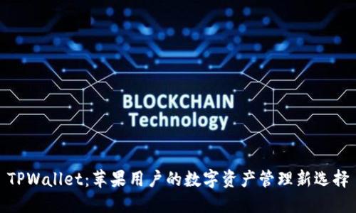 TPWallet：苹果用户的数字资产管理新选择
