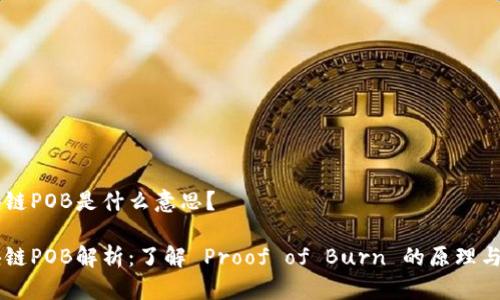 区块链POB是什么意思？

区块链POB解析：了解 Proof of Burn 的原理与应用