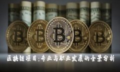 区块链项目：专业与职业发展的全景分