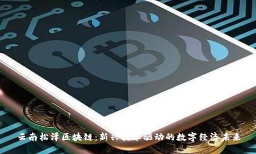 云南松泽区块链：新兴技术驱动的数字经济未来