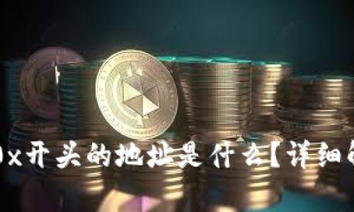 区块链中0x开头的地址是什么？详细解析与应用