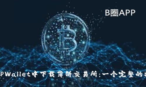 如何在TPWallet中下载薄饼交易所：一个完整的操作指南