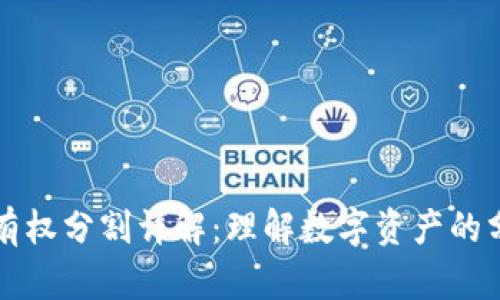 区块链所有权分割详解:理解数字资产的分配与管理