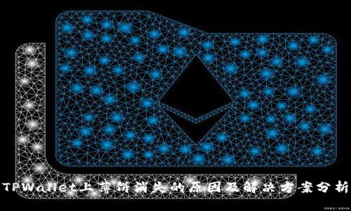 TPWallet上薄饼消失的原因及解决方案分析