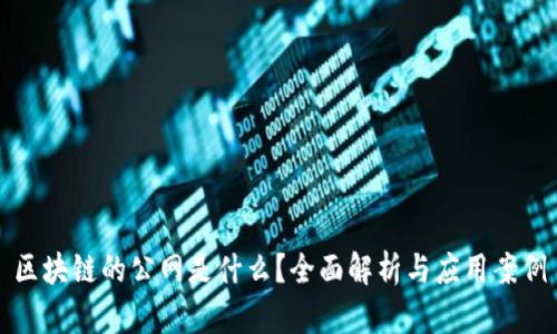 区块链的公网是什么?全面解析与应用案例