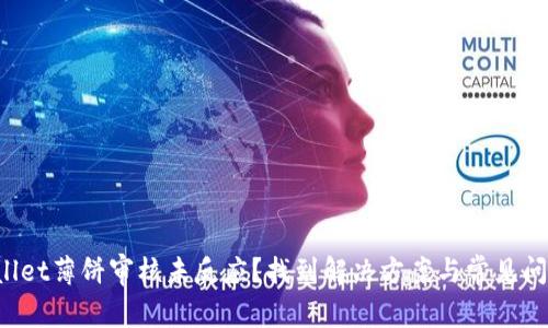 TPWallet薄饼审核未反应?找到解决方案与常见问题解答