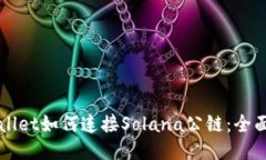 TPWallet如何连接Solana公链：全面指南