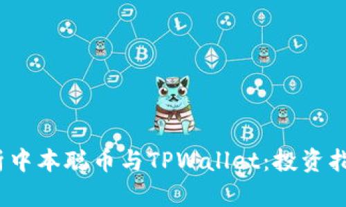 示例:全面解析中本聪币与TPWallet:投资指南与风险评估