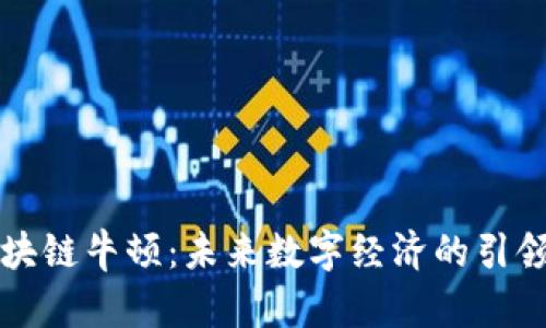 区块链牛顿：未来数字经济的引领者