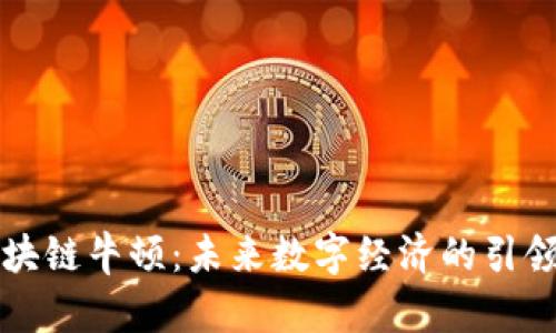 区块链牛顿：未来数字经济的引领者