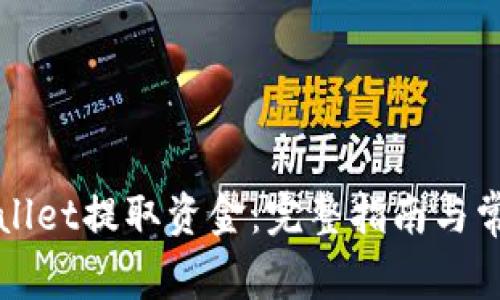 如何从TPWallet提取资金:完整指南与常见问题解答