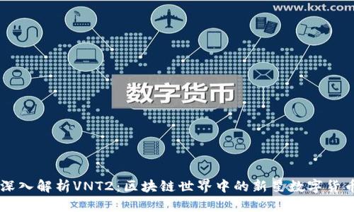 深入解析VNT2:区块链世界中的新星数字货币