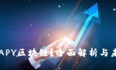 什么是APY区块链？全面解析与未来展望