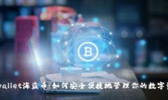tpwallet海盗币：如何安全便捷地管理你