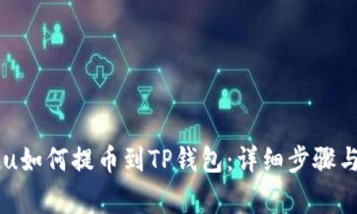 Kishu Inu如何提币到TP钱包:详细步骤与注意事项
