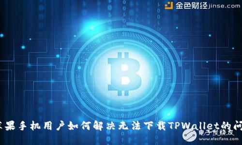 : 苹果手机用户如何解决无法下载TPWallet的问题？