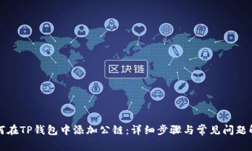 如何在TP钱包中添加公链：详细步骤与常见问题解答