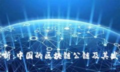 深入解析：中国的区块链公链及其发展