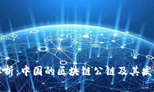 深入解析:中国的区块链公链及其发展现状