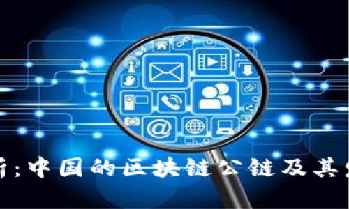 深入解析:中国的区块链公链及其发展现状