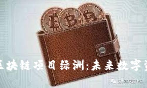 深入解析百度区块链项目绿洲：未来数字资产管理的先锋