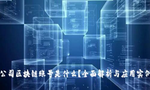 公司区块链账号是什么？全面解析与应用实例