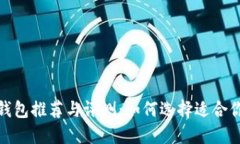 最安全的区块链钱包推荐与评测：如何