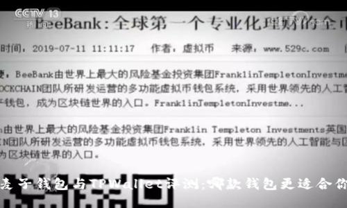 麦子钱包与TPWallet评测:哪款钱包更适合你?