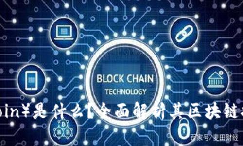 雷纳币(RenaCoin)是什么?全面解析其区块链技术与应用前景