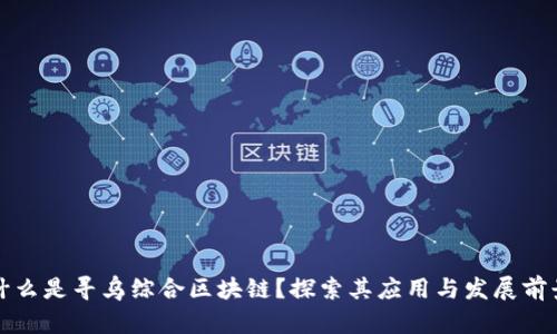 什么是寻乌综合区块链?探索其应用与发展前景