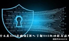 什么是BKS区块链？深入了解BKS的功能与