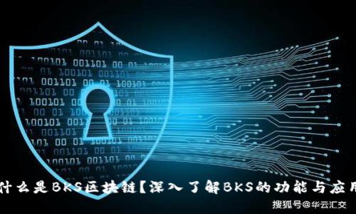 什么是BKS区块链?深入了解BKS的功能与应用