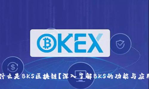 什么是BKS区块链?深入了解BKS的功能与应用
