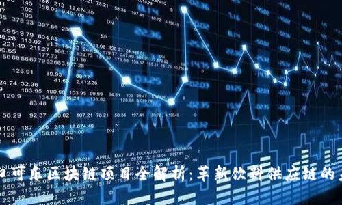 可口可乐区块链项目全解析:革新饮料供应链的未来