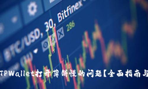 如何解决TPWallet打开薄饼慢的问题？全面指南与解决方案
