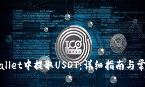 如何在TPWallet中提取USDT:详细指南与常见问题解答