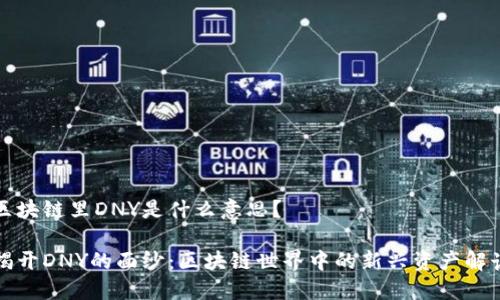 区块链里DNY是什么意思?
揭开DNY的面纱:区块链世界中的新兴资产解读