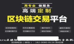 Java区块链实战项目：从入门到精通的