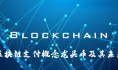 深入解析区块链支付概念龙头币及其未来发展趋