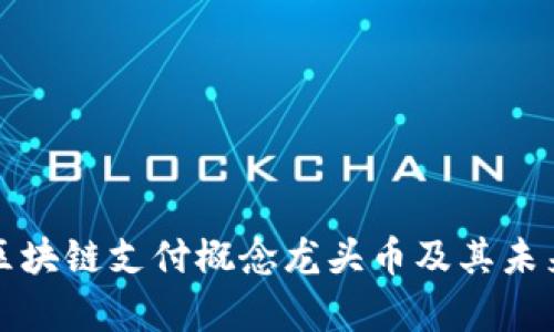 深入解析区块链支付概念龙头币及其未来发展趋势