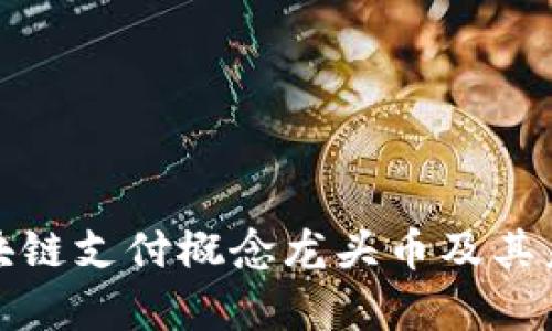深入解析区块链支付概念龙头币及其未来发展趋势