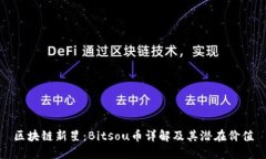 区块链新星：Bitsou币详解及其潜在价值