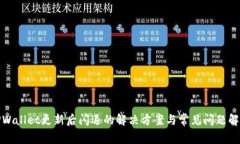 TPWallet更新后闪退的解决方案与常见问