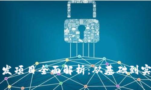 区块链实际开发项目全面解析:从基础到实现的深入探讨